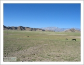 Ƽ(ƼƮ, tibet) Ƹ(, Ngari)